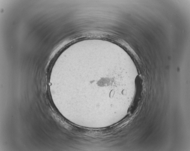 X0000086061075200704202055