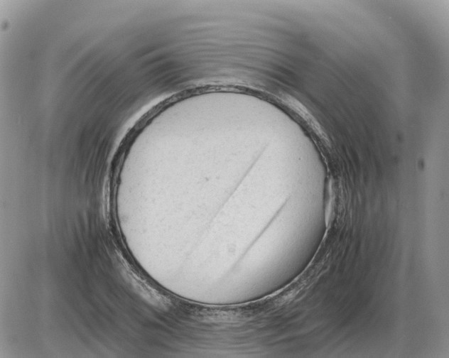 X0000086061076200704202055