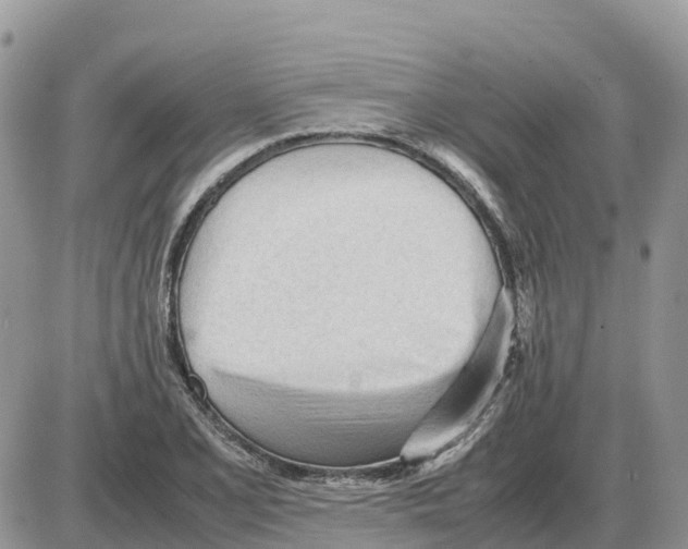 X0000086061077200704202055