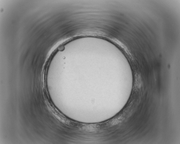 X0000086061078200704202055