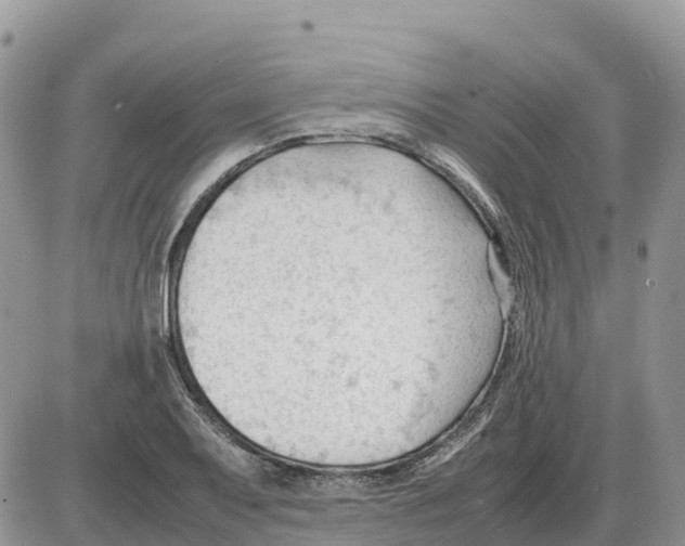 X0000086061079200704202055