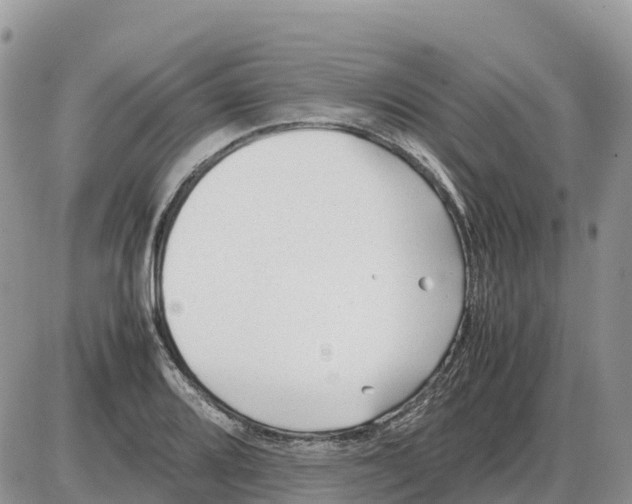 X0000086061080200704202055