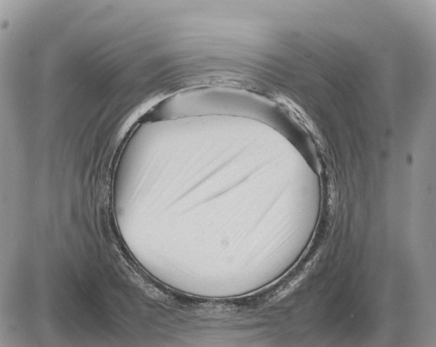 X0000086061081200704202055