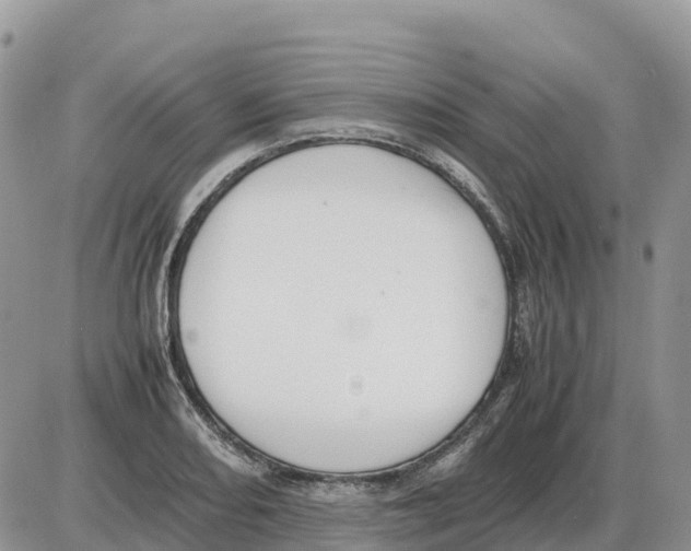 X0000086061082200704202055