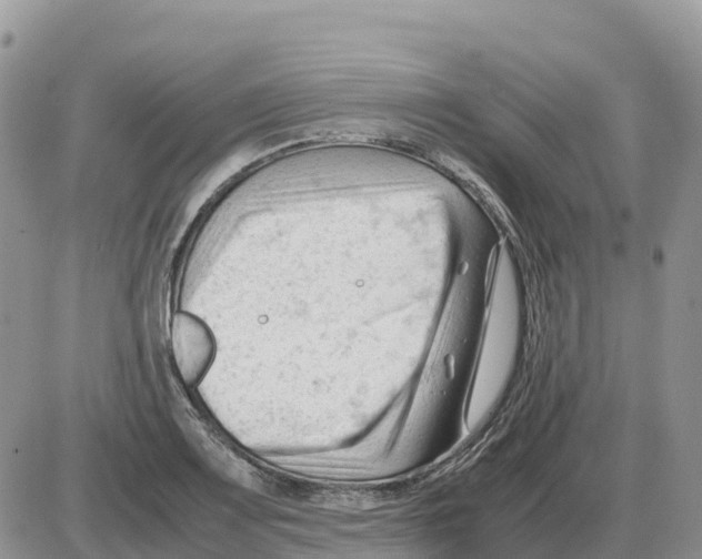 X0000086061083200704202055