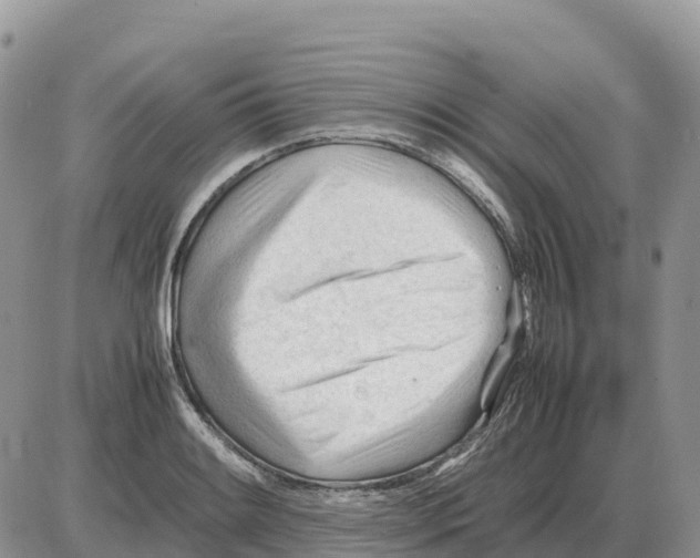 X0000086061084200704202055