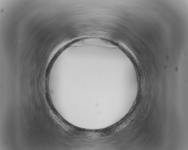 X0000086061085200704202055