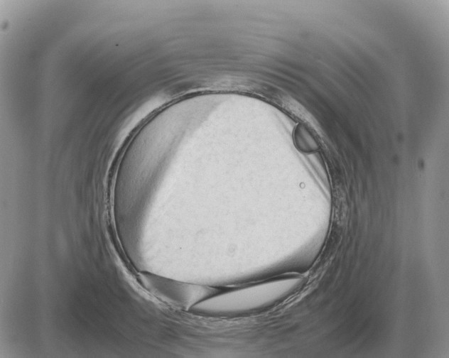 X0000086061087200704202055