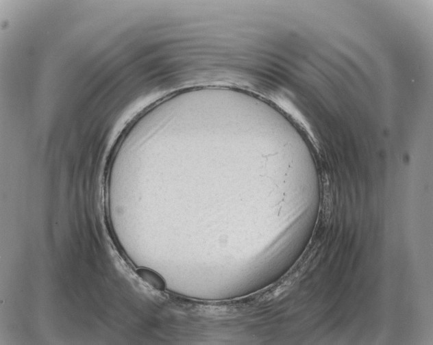 X0000086061088200704202055