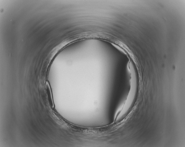 X0000086061089200704202055