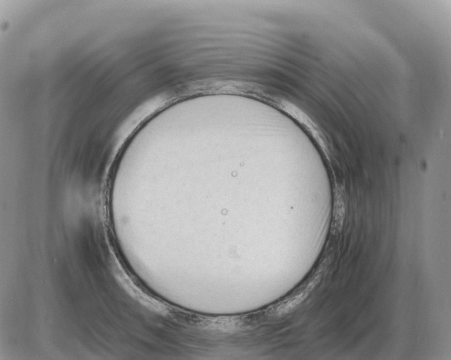 X0000086061090200704202055