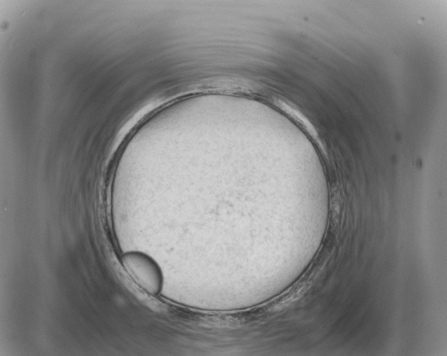 X0000086061091200704202055