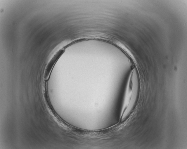 X0000086061093200704202055