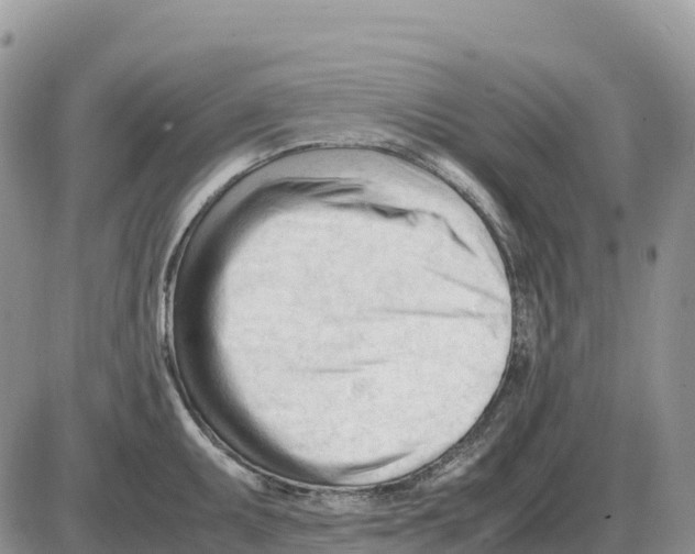 X0000086061095200704202055