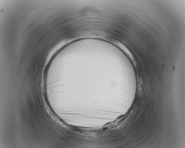 X0000086061096200704202055