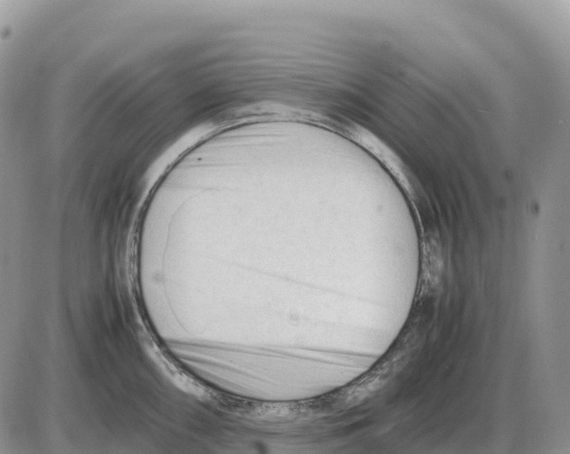 X0000086061098200704202055