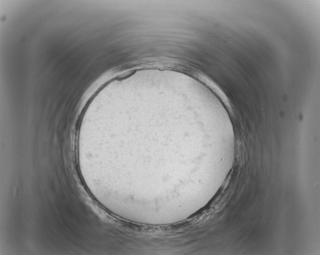 X0000086061099200704202055