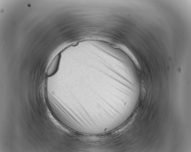 X0000086061100200704202055