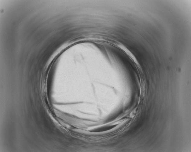 X0000086061101200704202054