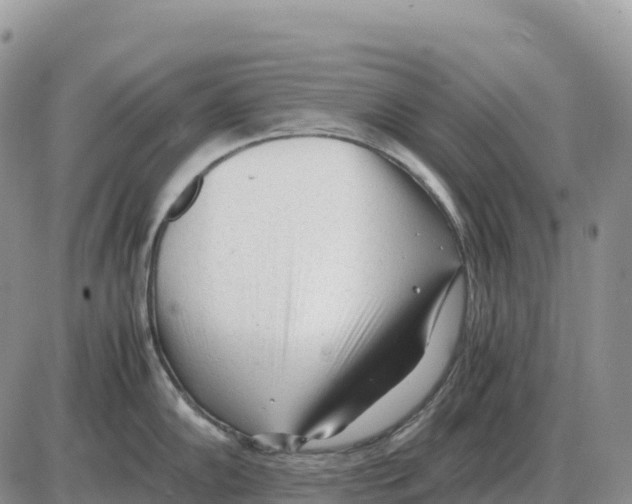 X0000086061102200704202054