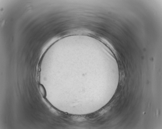 X0000086061103200704202054