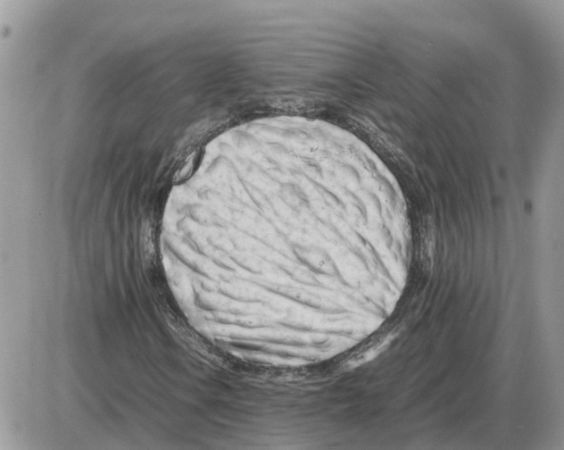 X0000086061106200704202054