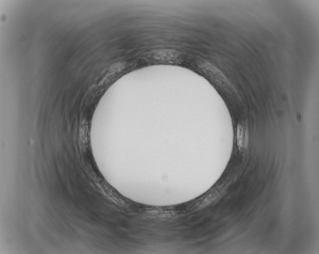 X0000086061107200704202054