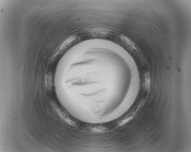 X0000086061108200704202054