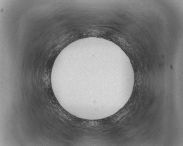 X0000086061109200704202054