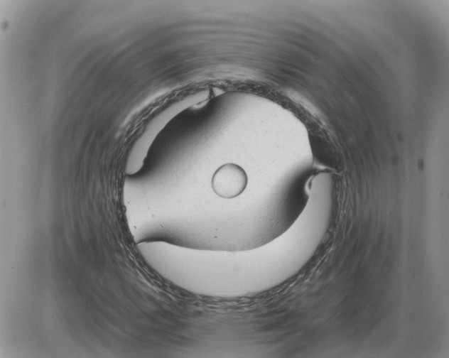 X0000086061112200704202054