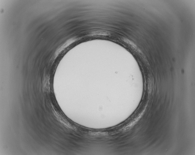 X0000086061113200704202054