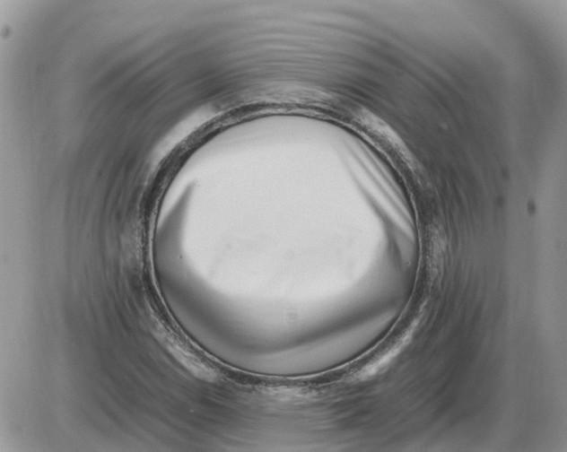 X0000086061114200704202054