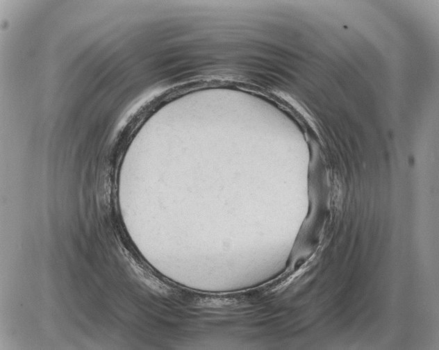 X0000086061115200704202054