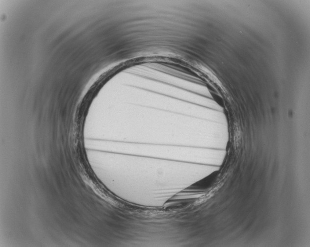 X0000086061116200704202054