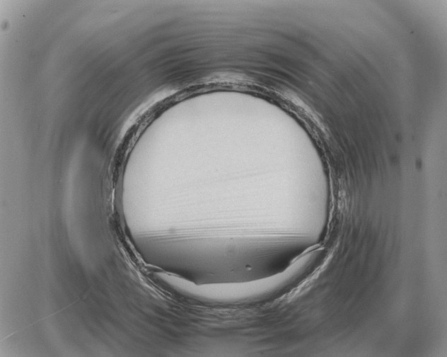 X0000086061117200704202054