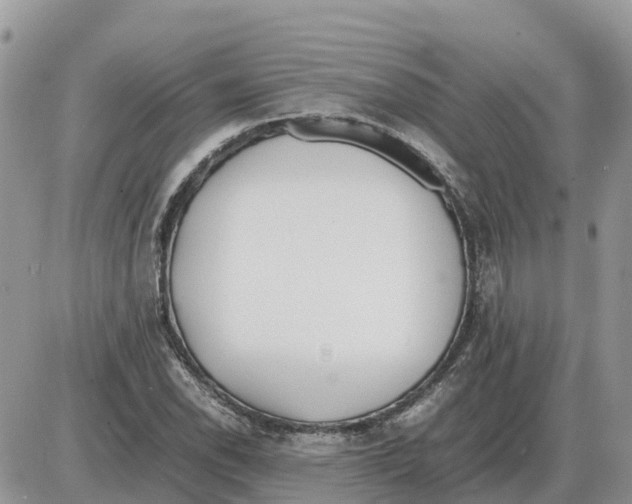 X0000086061118200704202054