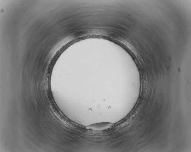 X0000086061119200704202054