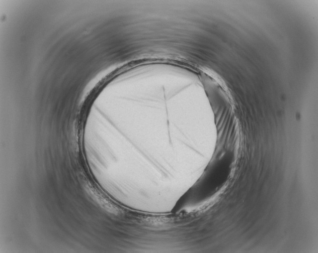 X0000086061120200704202054