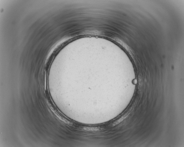 X0000086061123200704202054