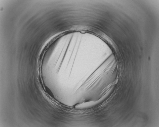 X0000086061124200704202054