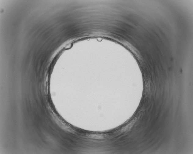 X0000086061126200704202054