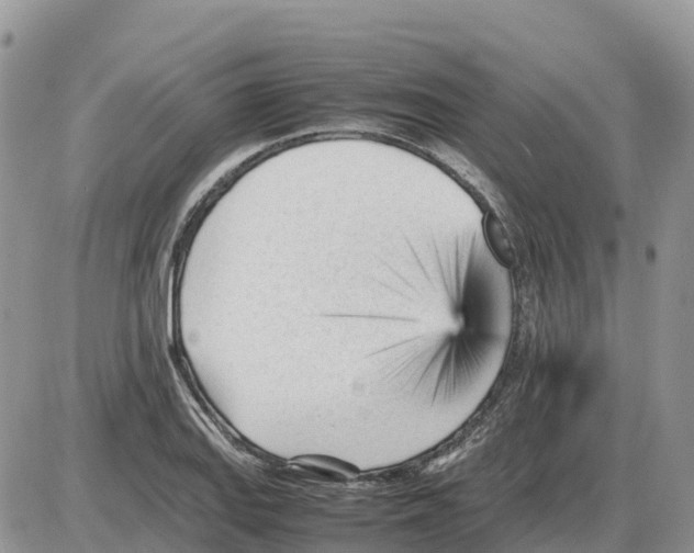 X0000086061127200704202054