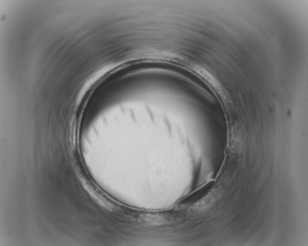 X0000086061128200704202054