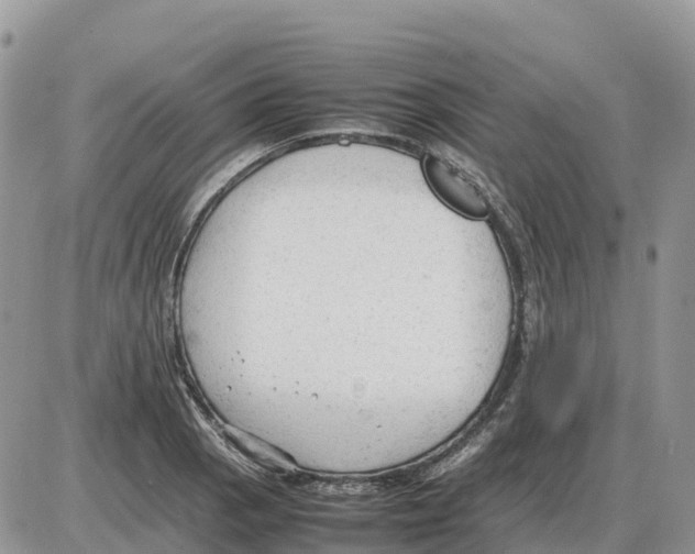 X0000086061129200704202054