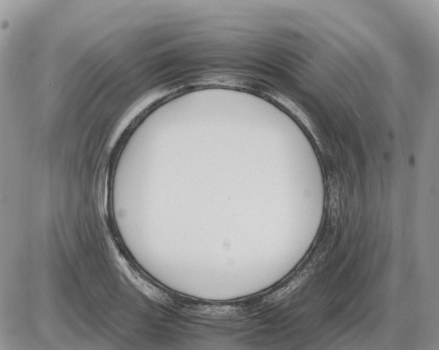 X0000086061131200704202054