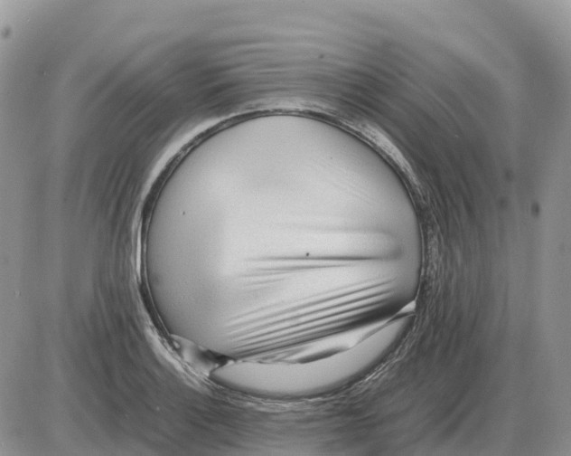 X0000086061132200704202054