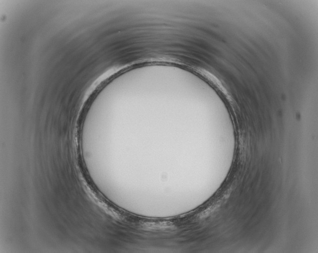 X0000086061133200704202054