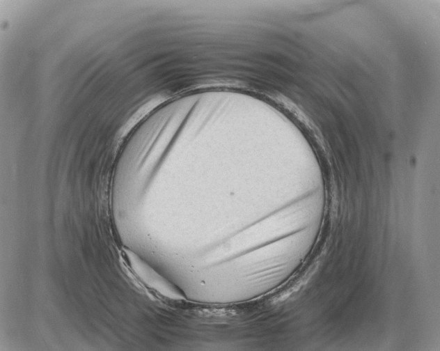 X0000086061137200704202054