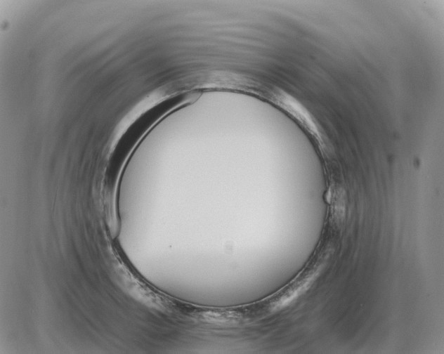 X0000086061138200704202054