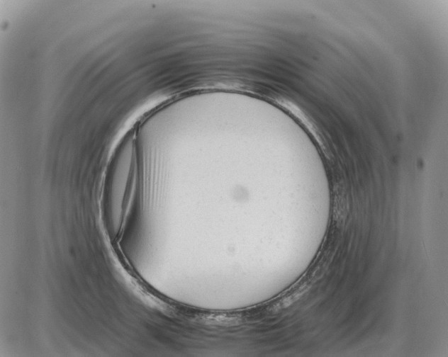 X0000086061139200704202054